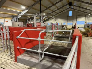 Bjørnar Bjerkreim, Legå i Øvre Hetland. Egersund, desember 2025