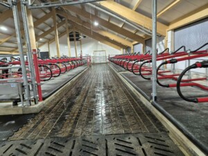 EasyFix Dream fleksible liggebåser med buet nakkerør og Cow-guide og 90 mm Pasture Mat fra Promat Inc. Magne Landrø og May Rita Olsen. Lensvik, desember 2025.