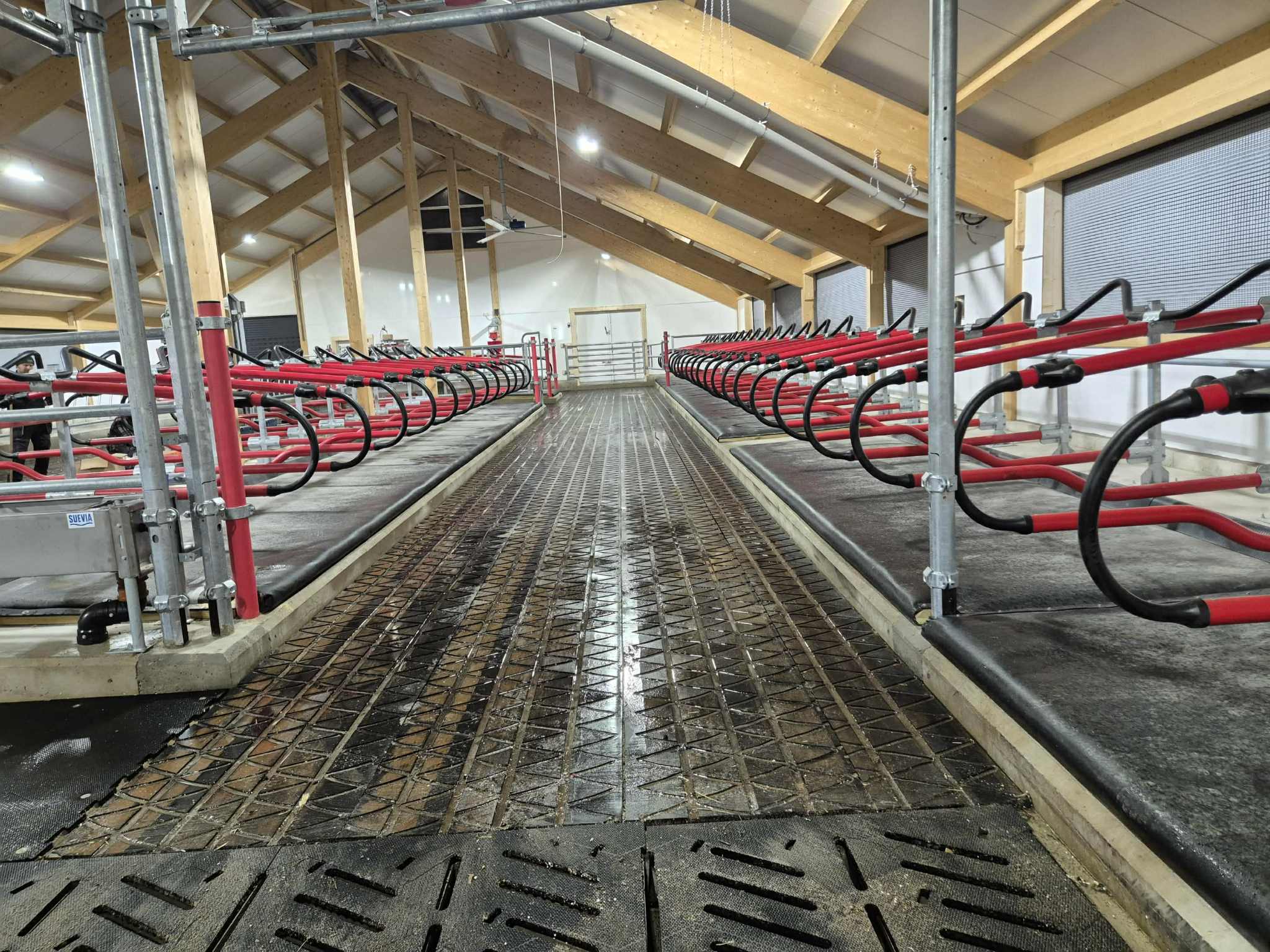 EasyFix Dream fleksible liggebåser med buet nakkerør og Cow-guide og 90 mm Pasture Mat fra Promat Inc. Magne Landrø og May Rita Olsen. Lensvik, desember 2025.