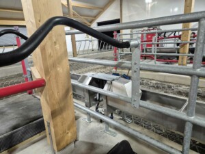 EasyFix Dream fleksible liggebåser med buet nakkerør og Cow-guide og 90 mm Pasture Mat fra Promat Inc. Magne Landrø og May Rita Olsen. Lensvik, desember 2025.