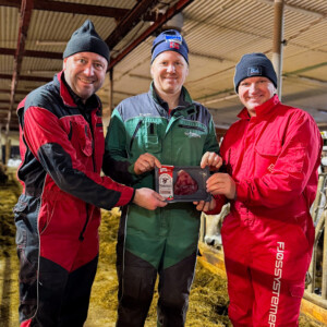 Fullfôrmikser kutter kostnader og øker kjøttproduksjonen