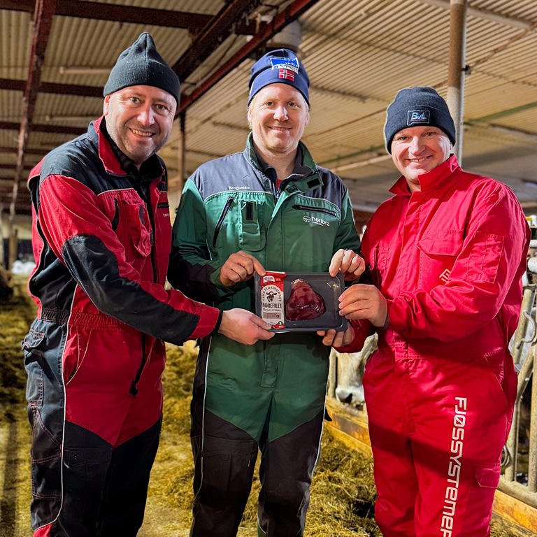 Fullfôrmikser kutter kostnader og øker kjøttproduksjonen