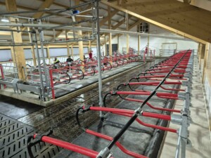 Zig Zag gummi fra og Kraiburg Agri spaltegummi, i tillegg til Suding Digofloor betongspalter. Kubørster fra Agricow World. Magne Landrø og May Rita Olsen. Lensvik, desember 2025.