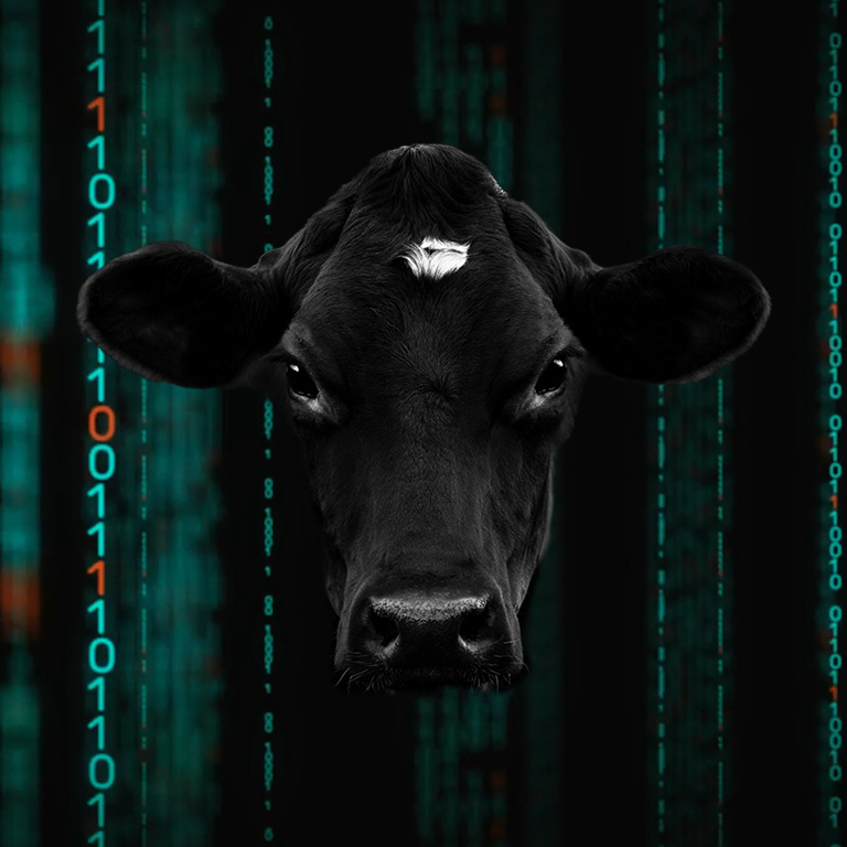 Er du klar for fremtidens melkeproduksjon?