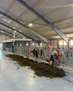 Håkon og Annelise Holmebakken, Kleppe 2026