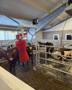 Håkon og Annelise Holmebakken, Kleppe 2026