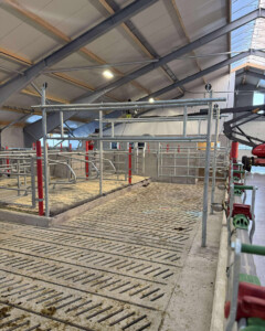 Håkon og Annelise Holmebakken, Kleppe 2026