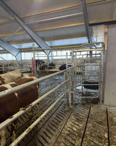 Håkon og Annelise Holmebakken, Kleppe 2026