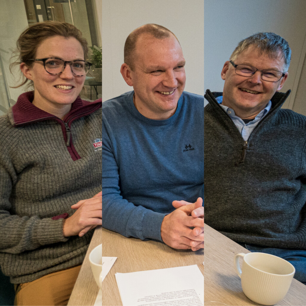 Smart fôring, del 4: Overgangsfôring