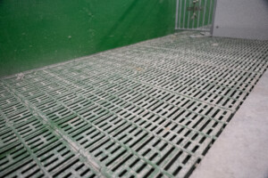 MIK plastgulv i FT-30 binge hos Solveig og Svein Roar Nygaard. Lena, januar 2026