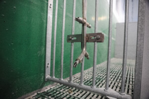 Drikkenipler i FT-30 binge hos Solveig og Svein Roar Nygaard. Lena, januar 2026