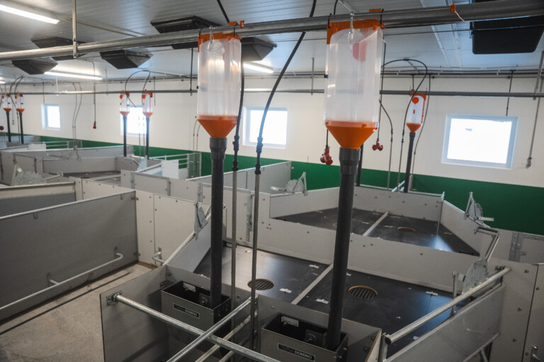 Tørrfôringsanlegg til gris i FT-30 binge hos Solveig og Svein Roar Nygaard. Lena, 2026