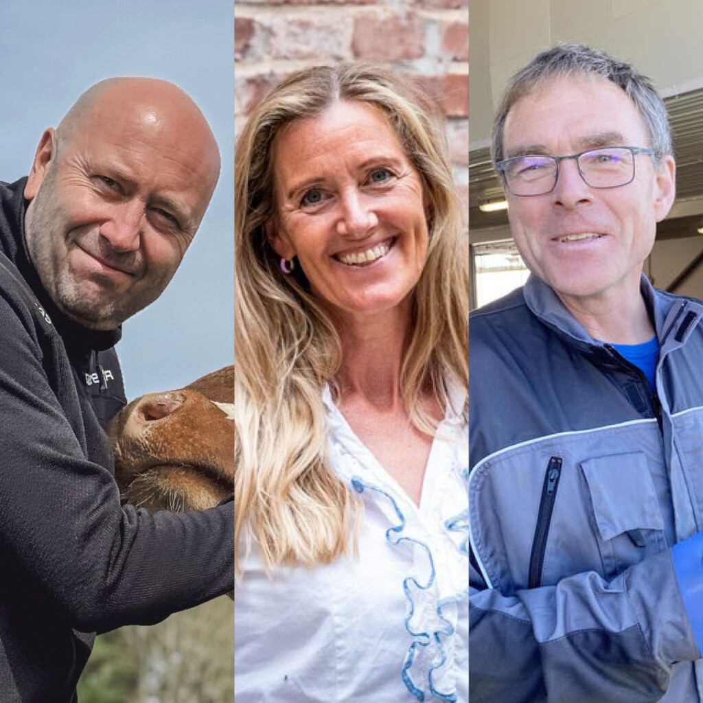 Fruktbarhetsmagasinet, Jorid Lybæk, Kjetil Olsen og Egil Elve