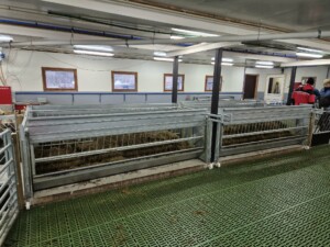 Apetittfôrkasse. Finn Mo, Lærdal 2026