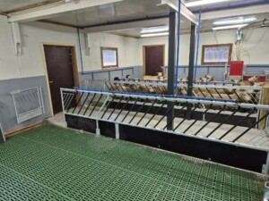 Lammesikker front. Finn Mo, Lærdal 2026