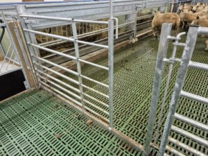 Skillegrind med skyveport. Finn Mo, Lærdal 2026