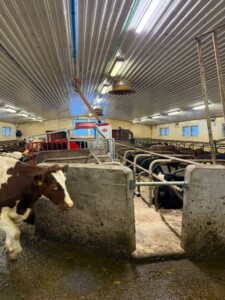 Erlend Almlid, Lely A5 Next