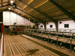 Ola Nesset, Tessanden 2025