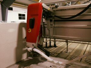 Ola Nesset, Tessanden 2025