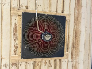 Astri og Ørjan Sveine Hov i Skjåk, 2025