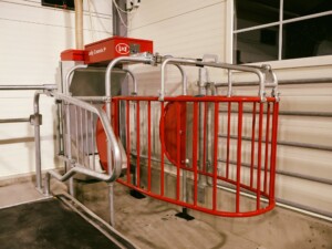 Cosmix hos Ola Nesset, Tessanden 2025