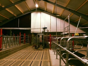 Ola Nesset, Tessanden 2025