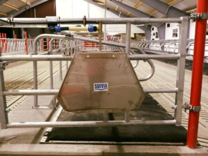 Suevia drikkekar hos Ola Nesset, Tessanden 2025