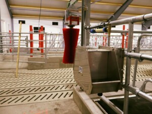 Suevia drikkekar hos Ola Nesset, Tessanden 2025