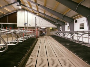 Promat liggebåsmatter hos Ola Nesset, Tessanden 2025