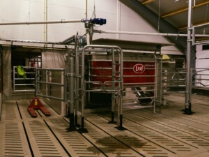 Lely A5 melkerobot hos Ola Nesset, Tessanden 2025