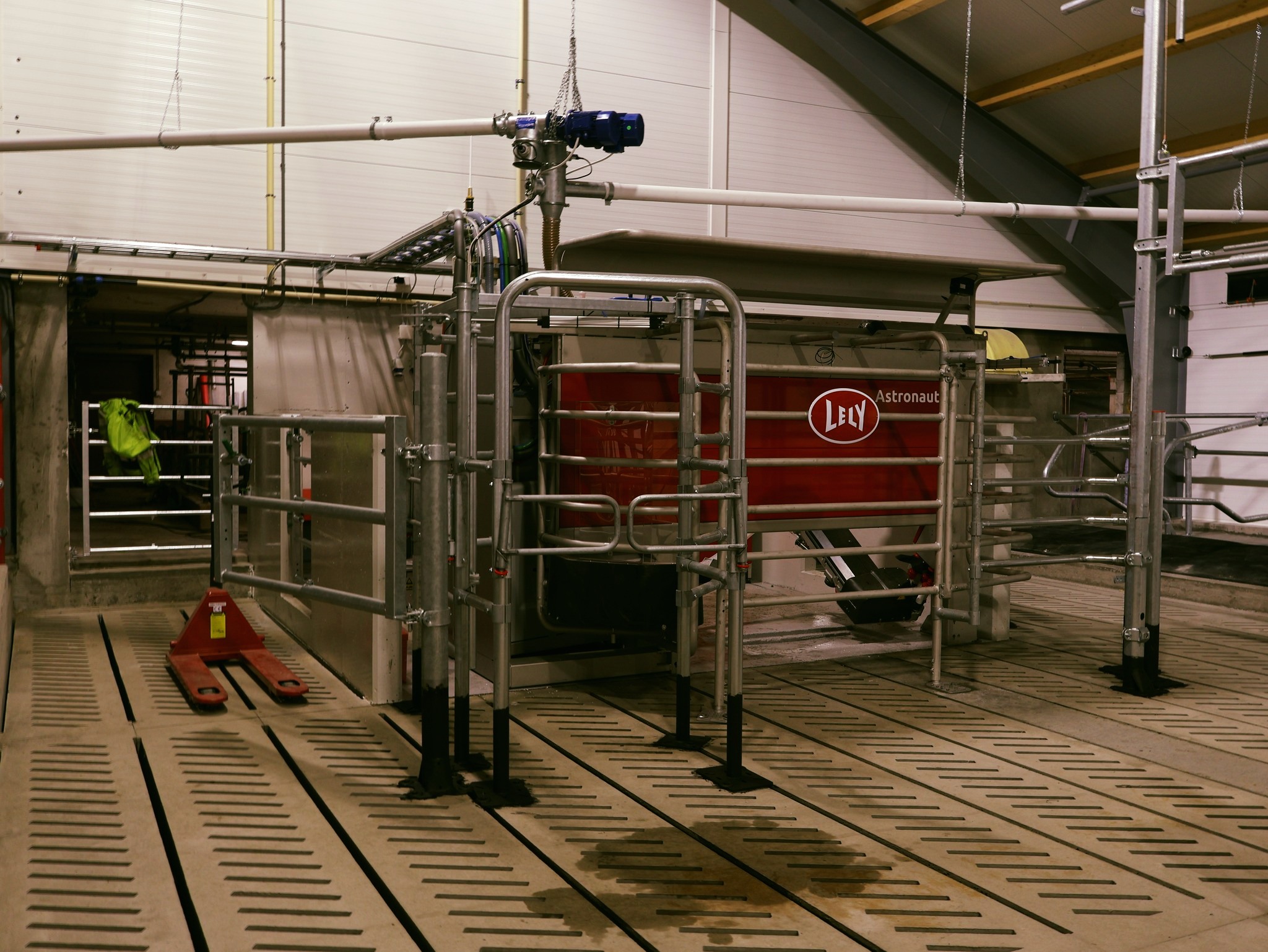 Lely A5 melkerobot hos Ola Nesset, Tessanden 2025