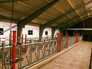 Ola Nesset, Tessanden 2025