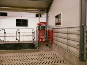 Ola Nesset, Tessanden 2025