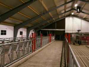 Jourdain fronter hos Ola Nesset, Tessanden 2025