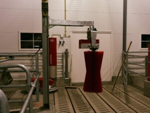 Kubørste hos Ola Nesset, Tessanden 2025