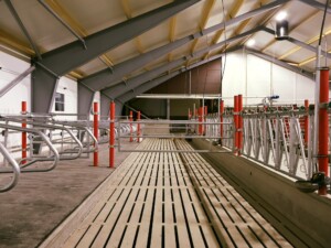 Jourdain grinder hos Ola Nesset, Tessanden 2025