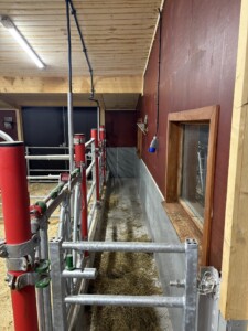 Astri og Ørjan Sveine Hov i Skjåk, 2025