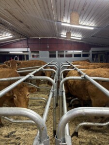 Astri og Ørjan Sveine Hov i Skjåk, 2025