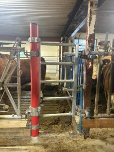 Astri og Ørjan Sveine Hov i Skjåk, 2025