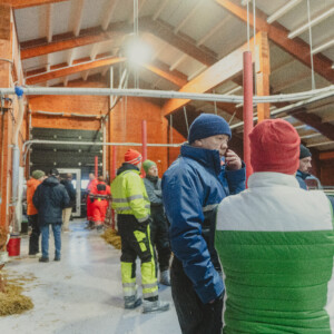 Agrilight Pro lys, massivtre. Tonje Rem, Knut Sander Rem Haugen, Knut Inge Haugen og Tonje Rem. Ørsta, 2026