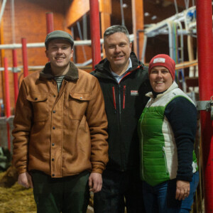 Massivtre og melkeglede i Ørsta