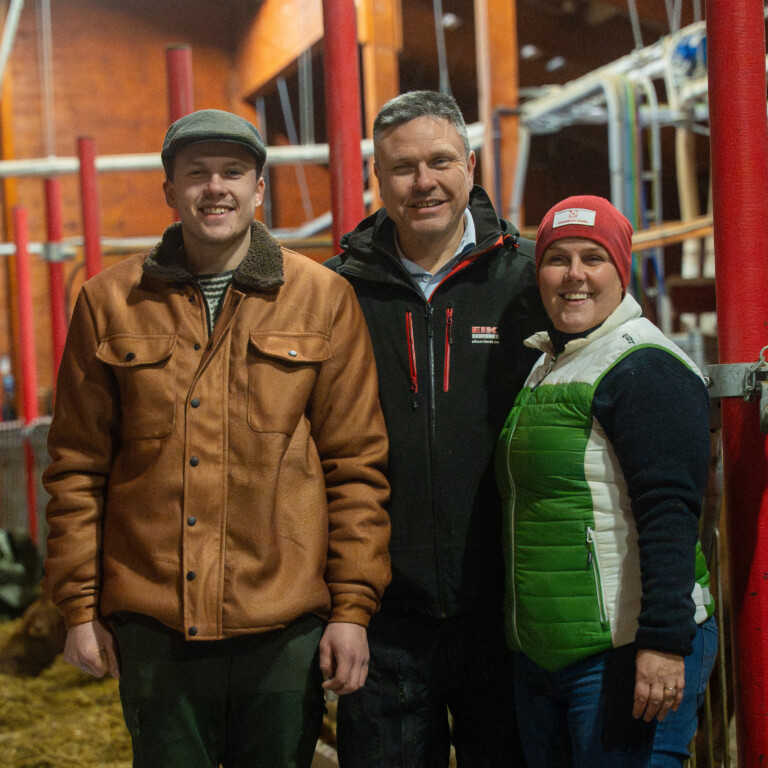 Massivtre og melkeglede i Ørsta