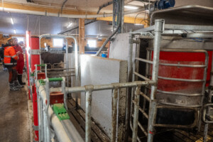 Jourdain innredning og Lely A5 melkerobot hos Jostein Østvang. Vingelen, 2026