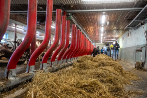 Easyfix fronter hos Jostein Østvang. Vingelen, 2026