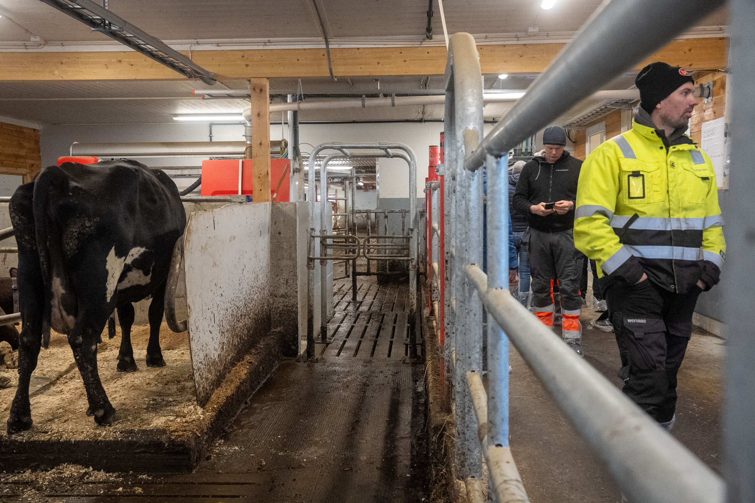 Jourdain innredning hos Jostein Østvang. Vingelen, 2026