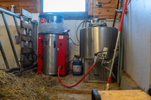 Lely Calm med Calf Clout og Melkeledning 2 hos Jostein Østvang. Vingelen, 2026