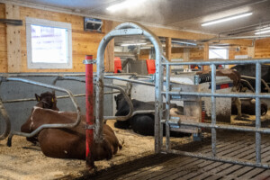 Jourdain innredning og Wopas stolper hos Jostein Østvang. Vingelen, 2026