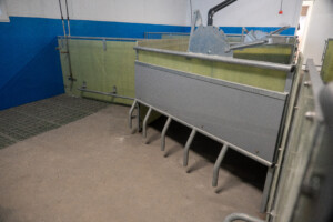 Slaktegrisavdeling hos Asbjørn Storlien. Brumunddal, februar 2025