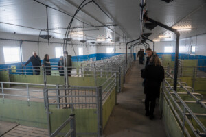 Bednings- og drektighetsavdeling. Asbjørn Storlien. Brumunddal 2025