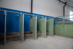 Bednings- og drektighetsavdeling. Asbjørn Storlien. Brumunddal 2025